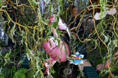 Bloemsteken-2019-28