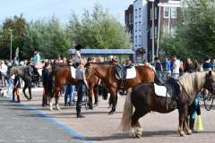 Demonstratie-Ruitersport-2019-4