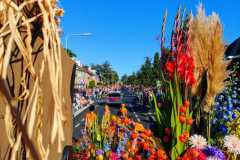 Jeugdbloemencorso 2019