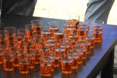 Ontnuchterings-Wandeltocht-2019-12