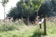 Ontnuchterings-Wandeltocht-2019-17