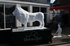 1_Straattheaterfestival-Uitkaik-2019-75