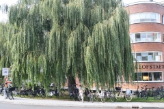 Straattheaterfestival-Uitkaik-2019-53