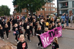 Verenigingenmanifestatie-2019-88